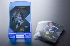 DEL Player Cards 2017/18 IMPACT IMPORTS - Set - 14 Cards