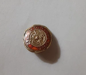 1942 St. Sylvester’s School Pin 1/10 10K Gold Filled Enamel 1/2" - Picture 1 of 3