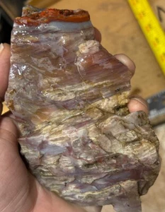 Madera petrificada colorida - Imagen 1 de 8