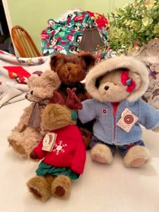Lote de 4 colección Boyds Bears vintage - Imagen 1 de 22