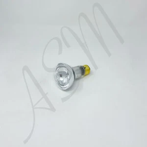 Light Bulb 6V 17 Watt - Picture 1 of 1