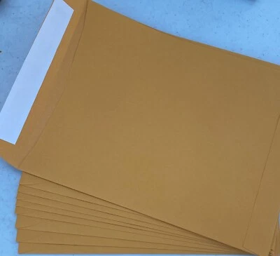 10 Kraft 9 x 12 Catalog Mailing Envelopes Brown Self Seal Mailers  9”x12" Manila - Image 1 of 4