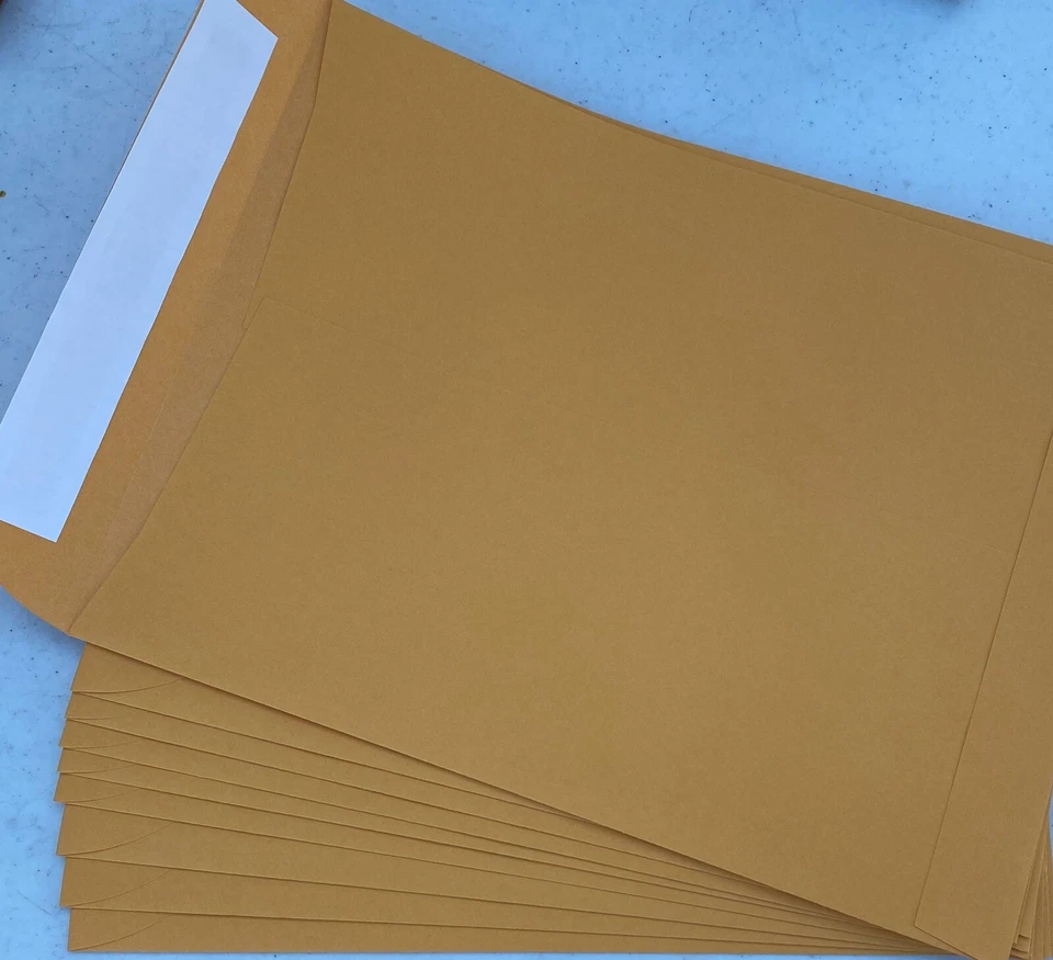 10 Kraft 9 x 12 Catalog Mailing Envelopes Brown Self Seal Mailers  9”x12" Manila - Image 1 of 4