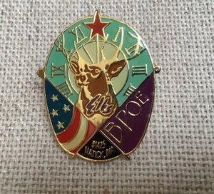 BPOE Elks Lodge 1425 Natick Massachusetts Sombrero Solapa Pin Pinback - Imagen 1 de 2