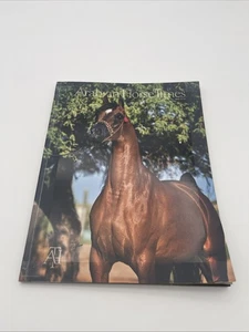 The Arabian Horse Times Magazine No. 5AAA Vol 44, 2013 - Goddess Of Da Vinci - Picture 1 of 6