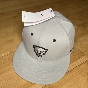 Nike True Pittsburgh Panthers Pitt Gray Aero Fitted 7 1/4+ RUNS BIG Baseball Hat - Picture 1 of 16