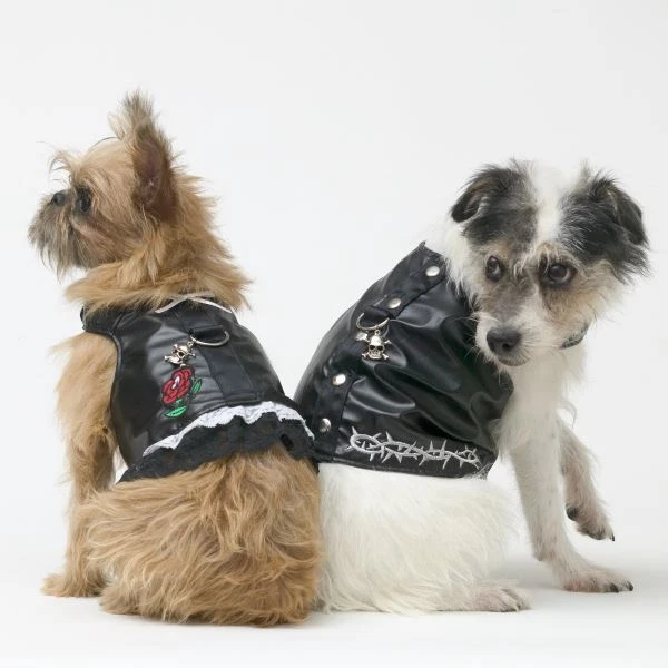Arnés de cuero sintético para perros motociclista chaleco estilo arnés para perros de Doggles Foto 1 de 3