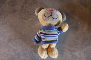 Pimboli Bär Depesche mit Pullover Kuscheltier Plüschtier Stofftier ca. 24 cm - Bild 1 von 2