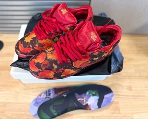 Nike SB Dunk Low Pro QS Wizard of Oz Poppy Field Size 12 Sneakers (FZ1291-600) - Picture 1 of 6