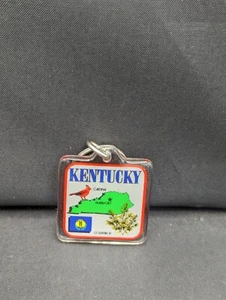 Portachiavi Kentucky 1,5""x1,5"" fatti stato quadrato - Foto 1 di 2