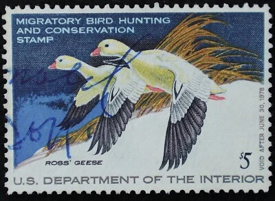U.S. Used Stamp Scott #RW44 $5 Federal Duck Hunting. Fine - Very Fine. Choice! - Image 1 of 2
