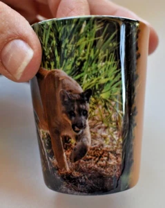 NAPLES ZOO Shot Glass Florida Caribbean Gardens Souvenir Collectible Travel - Picture 1 of 7