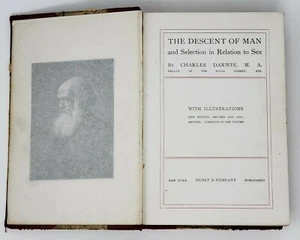 The Descent of Man and Selection in Relation to Sex 1874 HC Book Charles Darwin - Picture 1 of 12