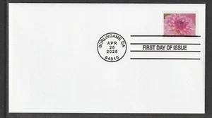 US 5993 Dahlien #2 (aus Booklet) CDS FDC 2025 - Bild 1 von 1