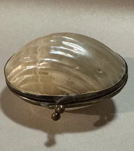 Vintage Real Clam Shell/Sea Shell Brass Hinged Jewelry Trinket Box - Picture 1 of 7