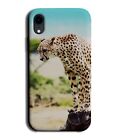 Cheetah In Africa Picture Phone Case Cover Cheetahs Animal Africa Photo Dd12