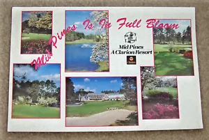 MID PINES A Clarion Golf Resort -Southern Pines NC (6"x 9") Photo Postcard - Picture 1 of 2