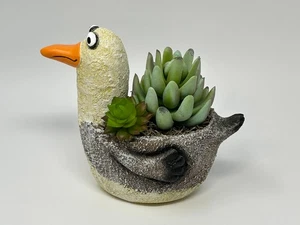 Maceta de 6,5" en maceta Lg SEAGULL Blob House con bolsa de cabina artificial Senecio y Echeveria - Imagen 1 de 9