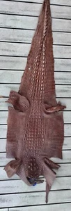 Soft Genuine Crocodile Leather Hide Skin Unique exotic large Display Decor - Picture 1 of 3