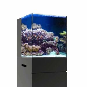 20 Gallon Nano RL Rimless Aquarium (Tank Only) - JBJ