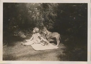 Schnappschuss Vintage Foto süßes kleines Mädchen Deutscher Schäferhund Welpe Hund Haustier Tier Hof - Bild 1 von 6