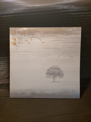 UNUSED GENESIS Wind And Wuthering Nr.9124003 Lp Italy 1976 Sleeve/Vinyl =NM - Bild 1 von 4