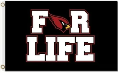 NUEVO Arizona Cardinals NFL 3x5 pies bandera de por vida TOTALMENTE NUEVO Foto 1 de 2