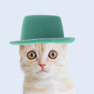  6 Stück Mini Western Party Deko kleine Hüte zum Basteln Cowboy - Bild 1 von 12