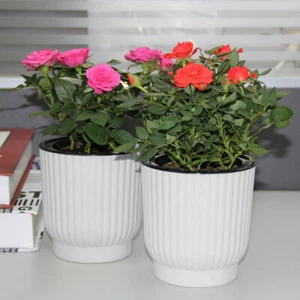 Self-watering Plant Flower Pot Planters Indoor Outdoor Plants Home Garden Decor - Picture 1 of 15