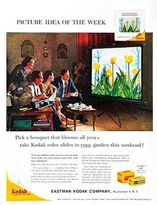 KODAK FILM 1960 Genuino Vintage Impreso Anuncio Kodachrome Flores Tulipanes Diapositivas - Imagen 1 de 1
