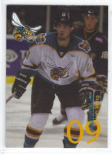 2008-09 Rio Grande Valley Killer Bees (CHL) Aaron Lee