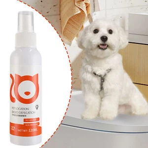 120ml Pet Train Go Here Attractant Dog and Puppy Potty Training Spray Effective - Picture 1 of 12