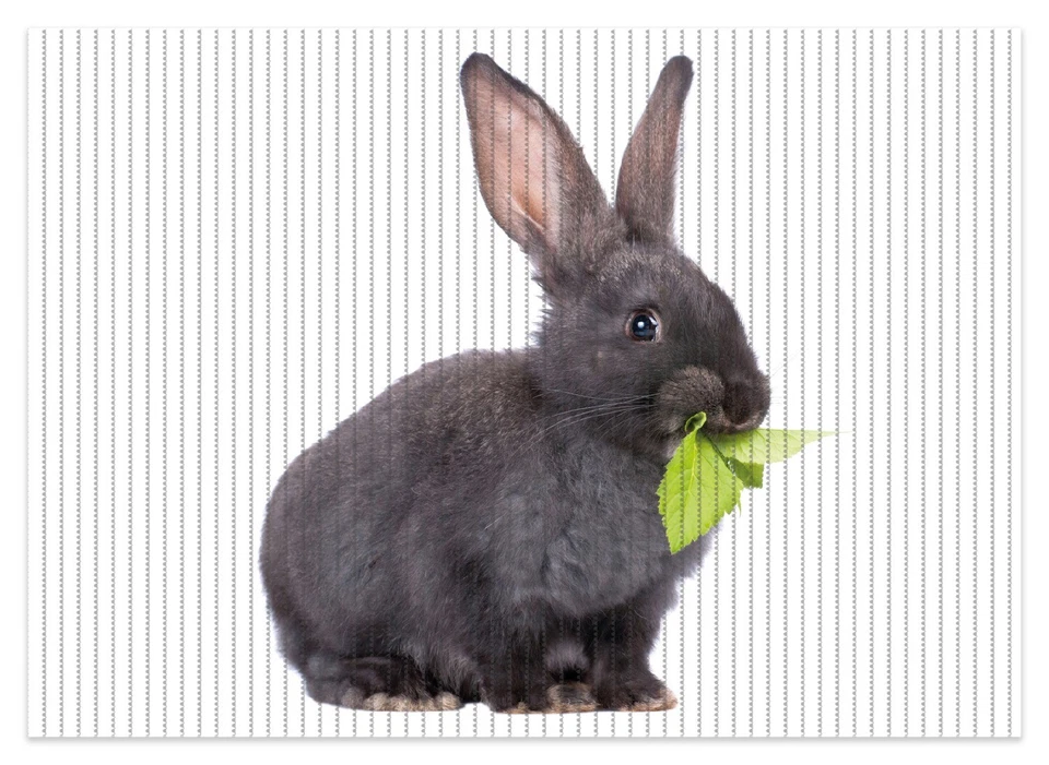 Wallario Duschmatte Bad Teppich Vorleger Süßes Kaninchen Grünzeug beim Futtern - Bild 1 von 1