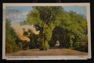Annisquam Willows Gloucester Mass Magnolia Station Cancel - Bild 1 von 3