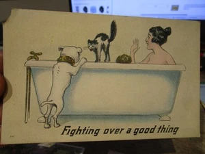 U25 Victorian Era Old ANIMAL PET Postcard Bawdy Bulldog Cat Skunk Bathtub Woman - Picture 1 of 1