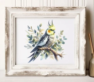 Nymphensittich Wandbilddruck, Nymphensittich Kunstdruck, Wandbild Deko, Wohndeko - Bild 1 von 2