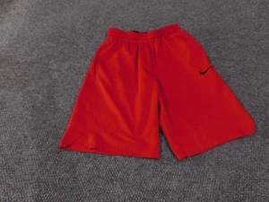 Nike Dri-Fit Athletic Shorts Small Mens Lightweight Polyester Running Gym Traini - Picture 1 of 14