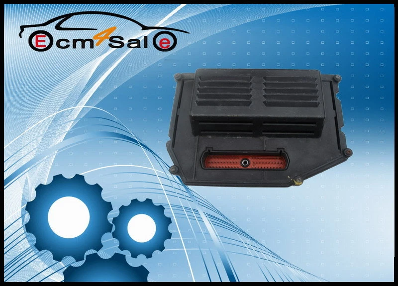 Jeep Wrangler ECM 1994 1995 4,0 L AT plug play nuevo programado 90 días de garantía Foto 1 de 1