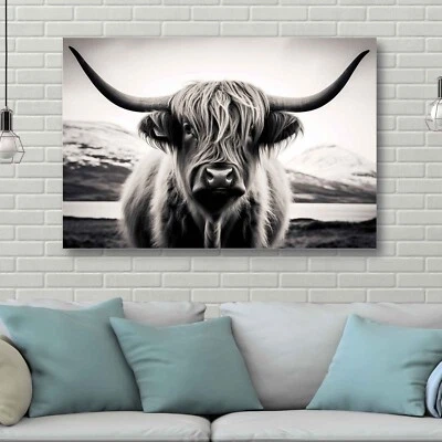 Hochland Kuh Leinwandbild, Wandbild Druck, Hochlandrind, Highland Cow - Bild 1 von 4