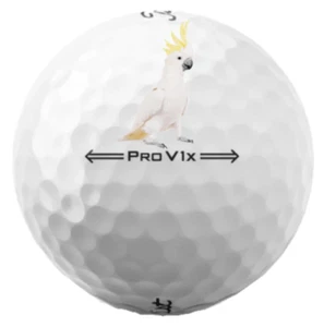 48 Titleist Pro V1x 2022 5A 2022 Usado Lavado Titleist Pro V1x 48 - Imagen 1 de 1