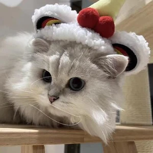 Copricapo per cani da danza del leone Cappello per costume da gatto carino - Foto 1 di 7
