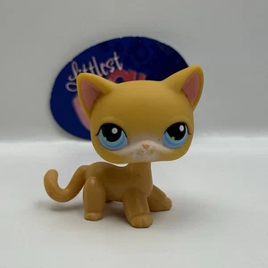 SHORTHAIR CAT #71 - Authentic Littlest Pet Shop - Hasbro LPS - Picture 1 of 4