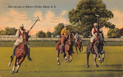 Postcard Aiken SC Polo Fields - Image 1 of 2