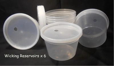 Впитывающие резервуары 16 унций самостоятельный полив для африканских фиалок набор из 6 бесплатная доставка - Изображение 1 из 4