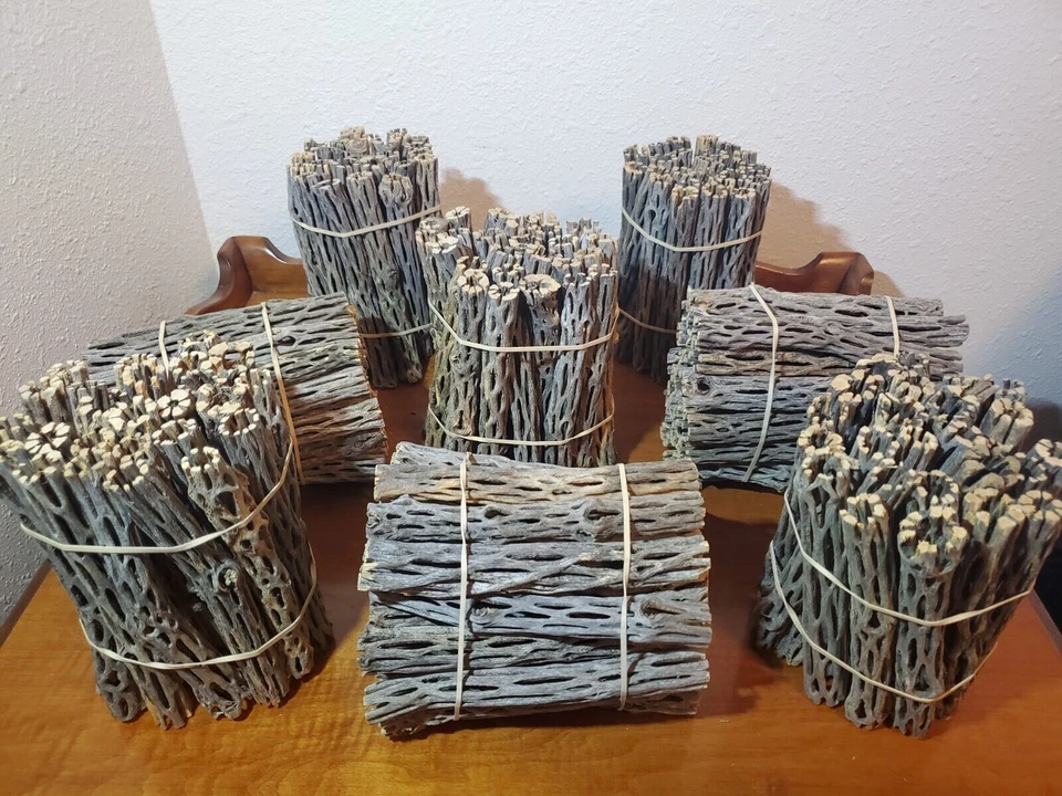 NEW! 6" inch CHOLLA Wood Pieces | 1/2" - 3/4" diameter | 10, 25, 50, 75, 100 pcs - Image 1 of 4