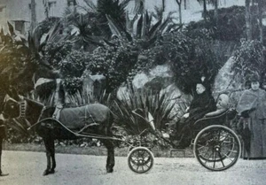 1901 Personal Characteristics of Queen Victoria England - Picture 1 of 5