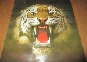 ROARING TIGER VINTAGE GINO D'ACHIILLE 1986 POSTER SCANDECOR (RARE) - Picture 1 of 4