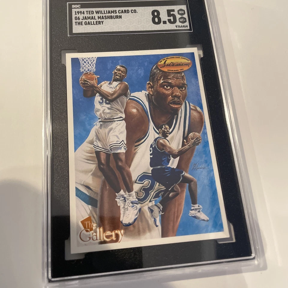 1994 1995 Ted Williams #G6 Jamal Mashburn Ted Williams Inserto de Galería (PEO) Foto 1 de 2