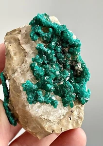 Esemplare di dioptasi molto decente dal Kazakistan, 68 mm - Foto 1 di 7