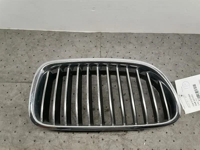 Parachoques superior cromado montado en la rejilla del pasajero para BMW 528i 795670 11-13 Foto 1 de 4